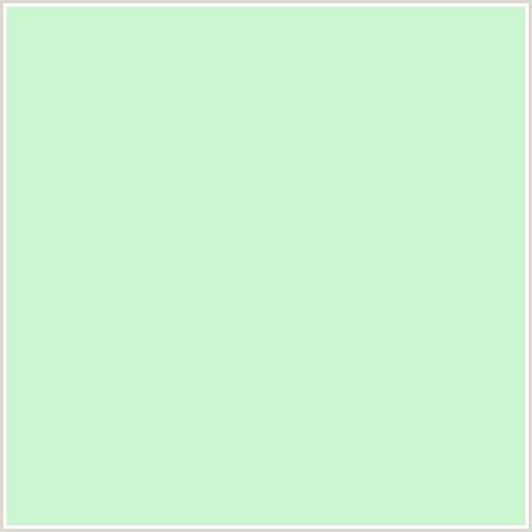 CCF6CF Hex Color Image (BLUE ROMANCE, GREEN)