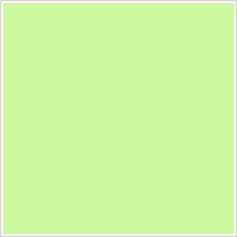 CCF89F Hex Color Image (GOSSIP, GREEN)