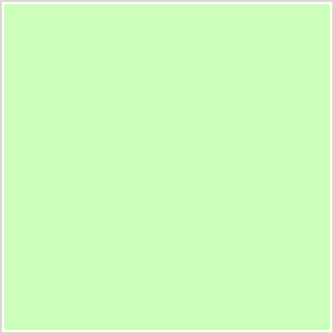 CCFFBB Hex Color Image (GREEN, REEF)