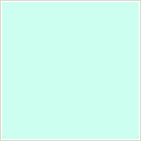 CCFFF0 Hex Color Image (AERO BLUE, BLUE GREEN)