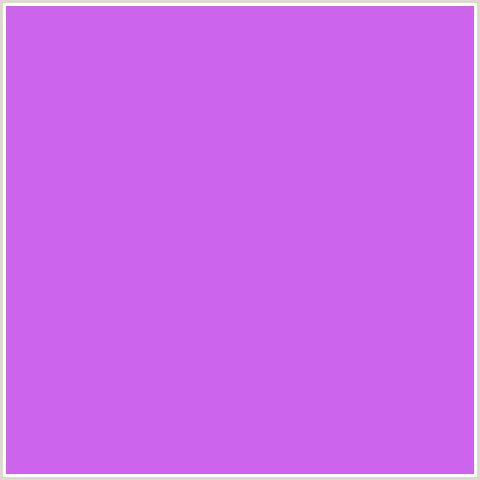 CD64ED Hex Color Image (HELIOTROPE, PURPLE, VIOLET)
