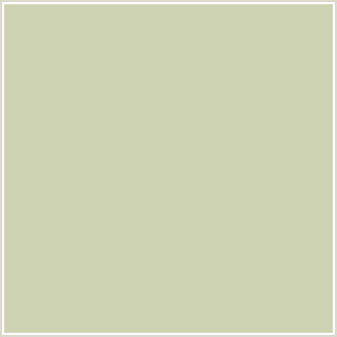 CDD3B2 Hex Color Image (GREEN MIST, GREEN YELLOW)