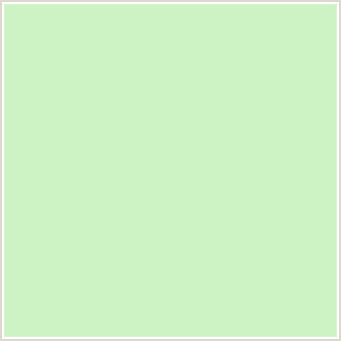 CDF2C4 Hex Color Image (GREEN, TEA GREEN)