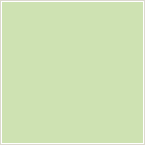 CEE2B2 Hex Color Image ()