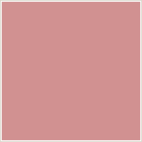 D19191 Hex Color Image (PUCE, RED)