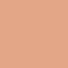 E3A787 Hex Color Image (ORANGE RED, TUMBLEWEED)