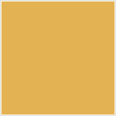 E3B253 Hex Color Image (ANZAC, YELLOW ORANGE)