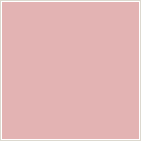 E3B3B3 Hex Color Image (RED, ROSE FOG)