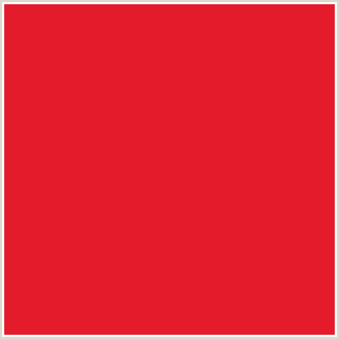 E41B2B Hex Color Image (ALIZARIN CRIMSON, RED)