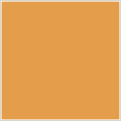 E49D4B Hex Color Image (ANZAC, ORANGE)