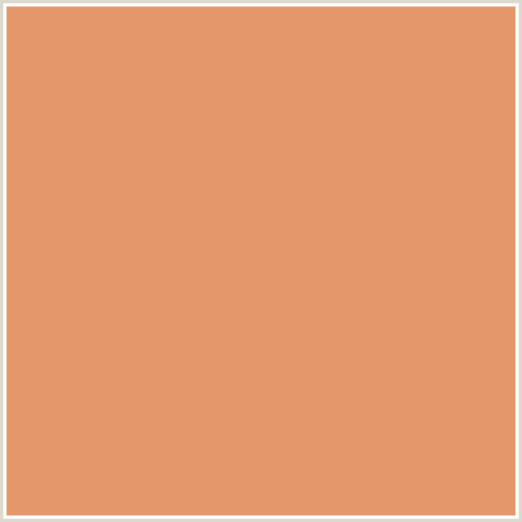 E5976C Hex Color Image (APRICOT, ORANGE RED)