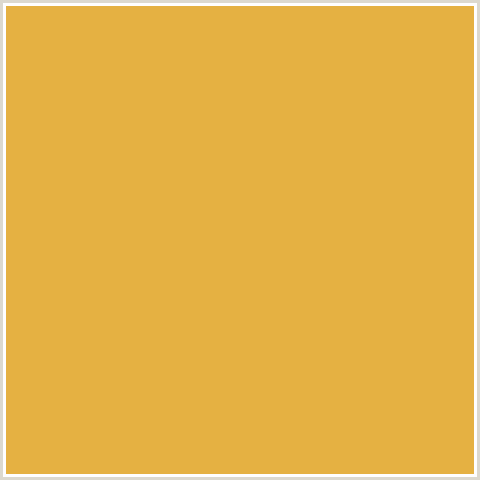 E5B142 Hex Color Image (ANZAC, YELLOW ORANGE)