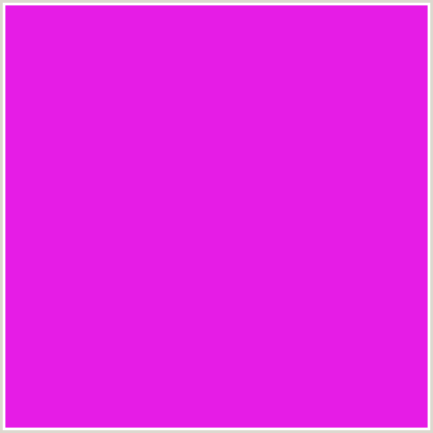 E61CE6 Hex Color Image (DEEP PINK, FUCHSIA, FUSCHIA, HOT PINK, MAGENTA, SHOCKING PINK)