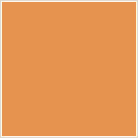 E69350 Hex Color Image (BURNT SIENNA, ORANGE RED)