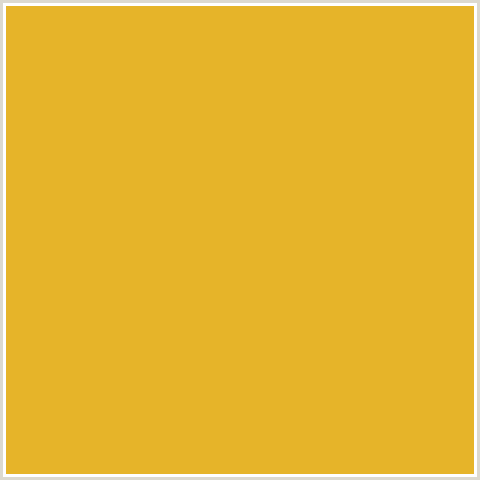 E6B429 Hex Color Image (FUEL YELLOW, YELLOW ORANGE)