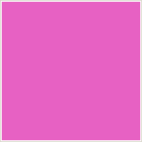 E761C3 Hex Color Image (DEEP PINK, FUCHSIA, FUSCHIA, HOT PINK, MAGENTA, ORCHID)