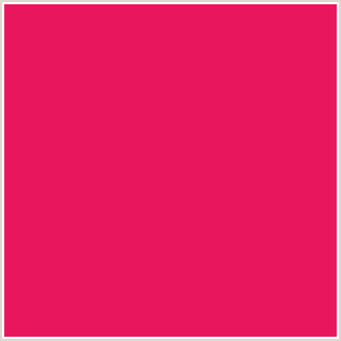 E8175D Hex Color Image (AMARANTH, RED)