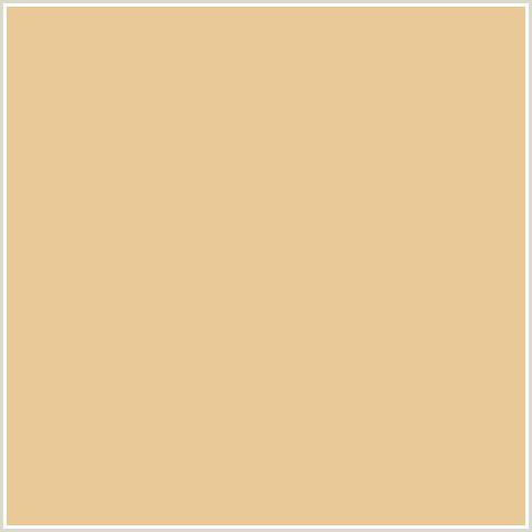 E8C997 Hex Color Image (ORANGE, PUTTY, TAN)