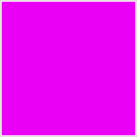 E900F5 Hex Color Image (DEEP PINK, ELECTRIC VIOLET, FUCHSIA, FUSCHIA, HOT PINK, MAGENTA)