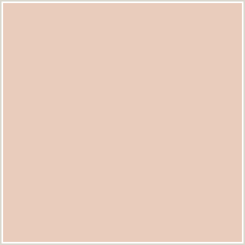 E9CCBC Hex Color Image (ORANGE RED, PEACH, ROSE FOG)