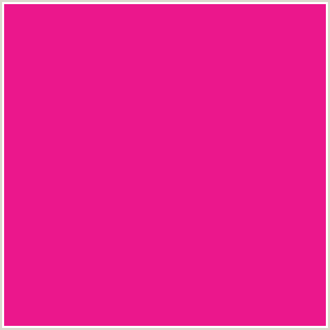 EB178C Hex Color Image (DEEP PINK, FUCHSIA, FUSCHIA, HOT PINK, MAGENTA, RED VIOLET)