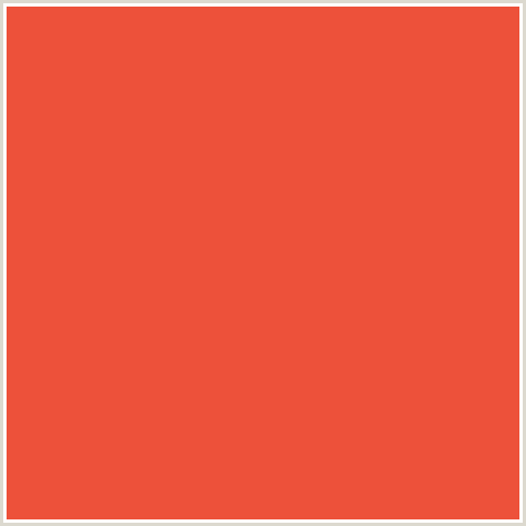 ED513A Hex Color Image (FLAMINGO, RED)