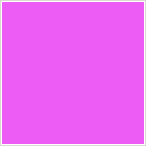 ED5DF5 Hex Color Image (DEEP PINK, FUCHSIA, FUSCHIA, HELIOTROPE, HOT PINK, MAGENTA)