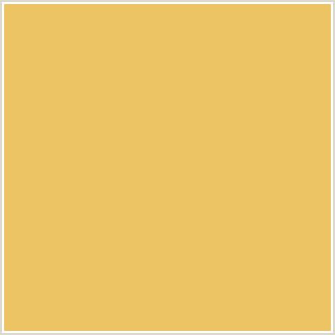 EDC464 Hex Color Image (ROB ROY, YELLOW ORANGE)