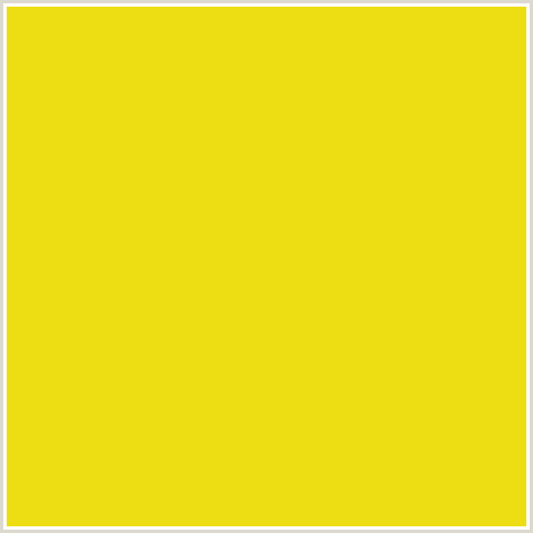 EDDE13 Hex Color Image (BARBERRY, YELLOW)