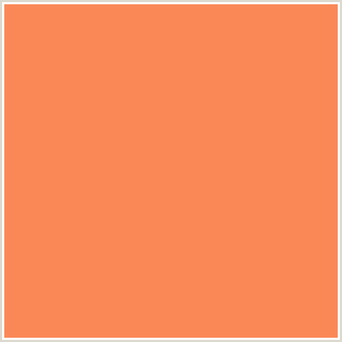 FA8857 Hex Color Image (RED ORANGE, TAN HIDE)