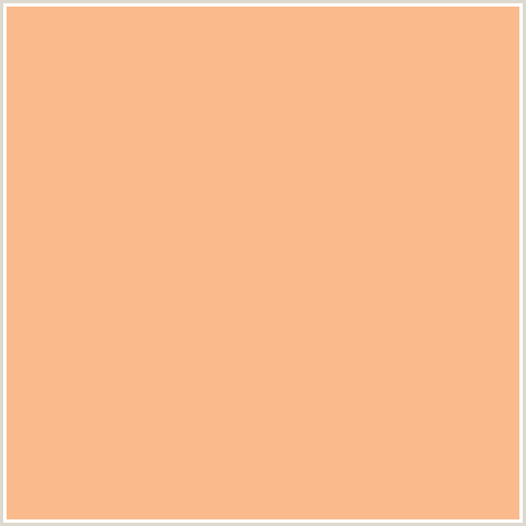 FBBA8B Hex Color Image (MACARONI AND CHEESE, ORANGE RED)