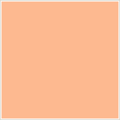FDB990 Hex Color | 253, 185, 144 | PINK, ORANGE RED