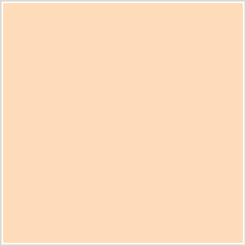 FEDCBA Hex Color Image (FRANGIPANI, ORANGE, TAN)