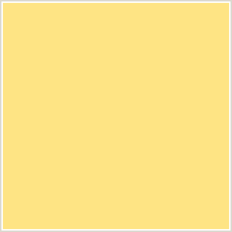 FEE484 Hex Color Image (ORANGE YELLOW, SALOMIE)