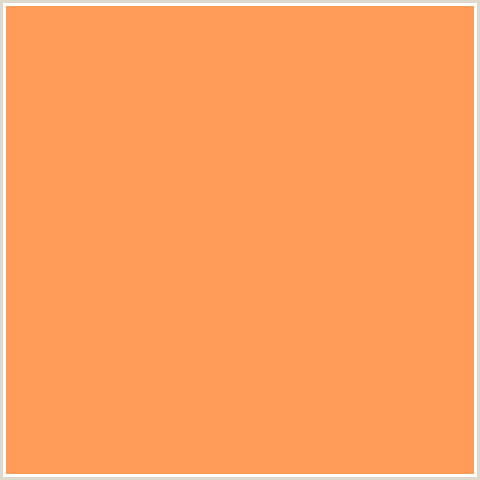 FF9B59 Hex Color Image (ATOMIC TANGERINE, ORANGE RED)