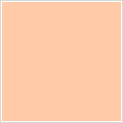 FFCAA8 Hex Color Image (FLESH, ORANGE RED, PEACH)