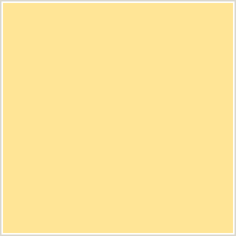 FFE596 Hex Color Image (CREAM BRULEE, ORANGE YELLOW)